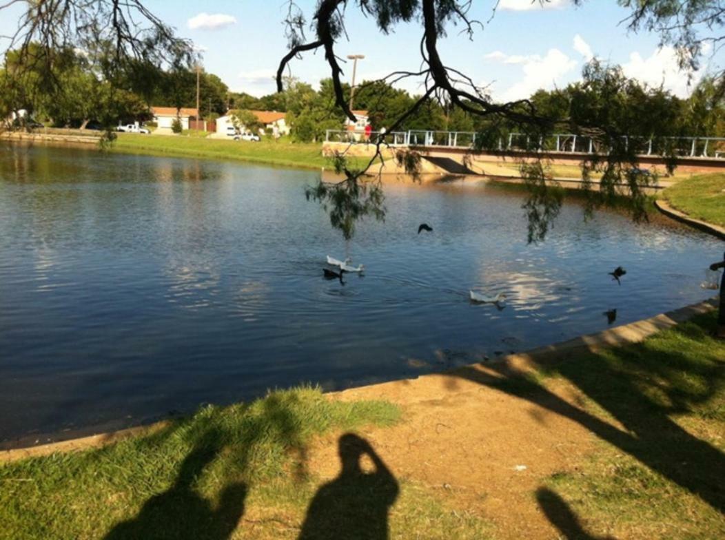 Oasis Near Dfw Airport With Mediterranean Setting Ірвінг Екстер'єр фото